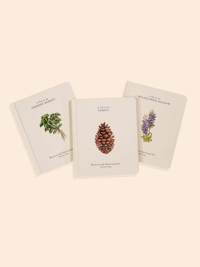 Our Little Adventures Book Box Set Baby-Kids :Nursery :Books :Toys :Learning Paige Tate & Co. 