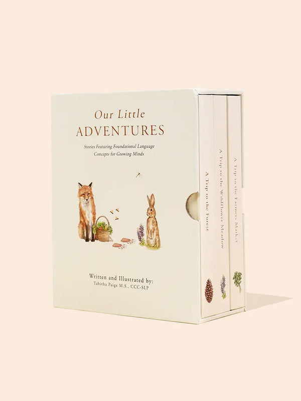 Our Little Adventures Book Box Set Baby-Kids : Nursery : Books : Toys : Learning Paige Tate & Co. 