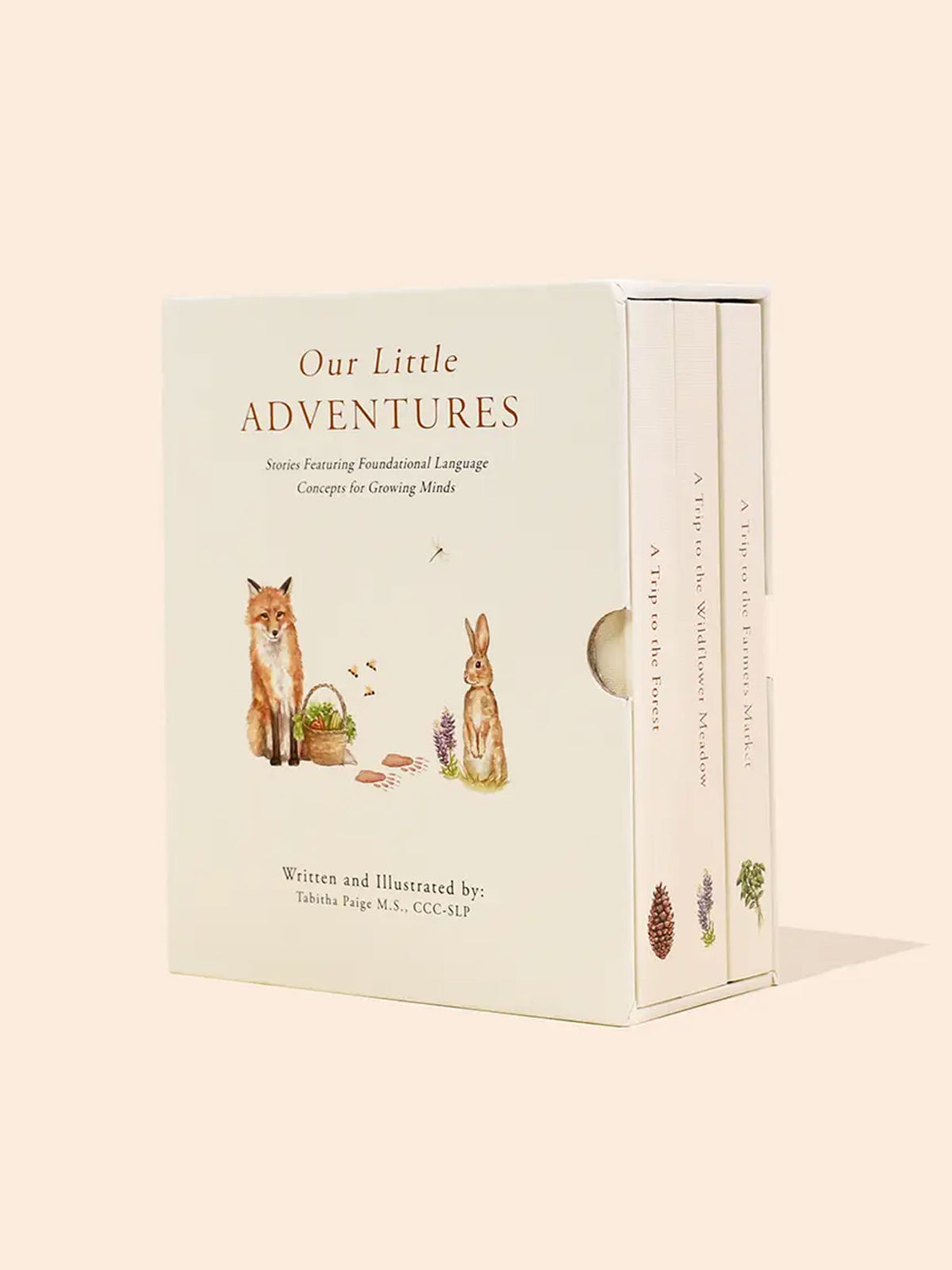 Our Little Adventures Book Box Set Baby-Kids : Toys : Books Paige Tate & Co. Baby Our Little Adventures Book Box Set | Colored Organics®