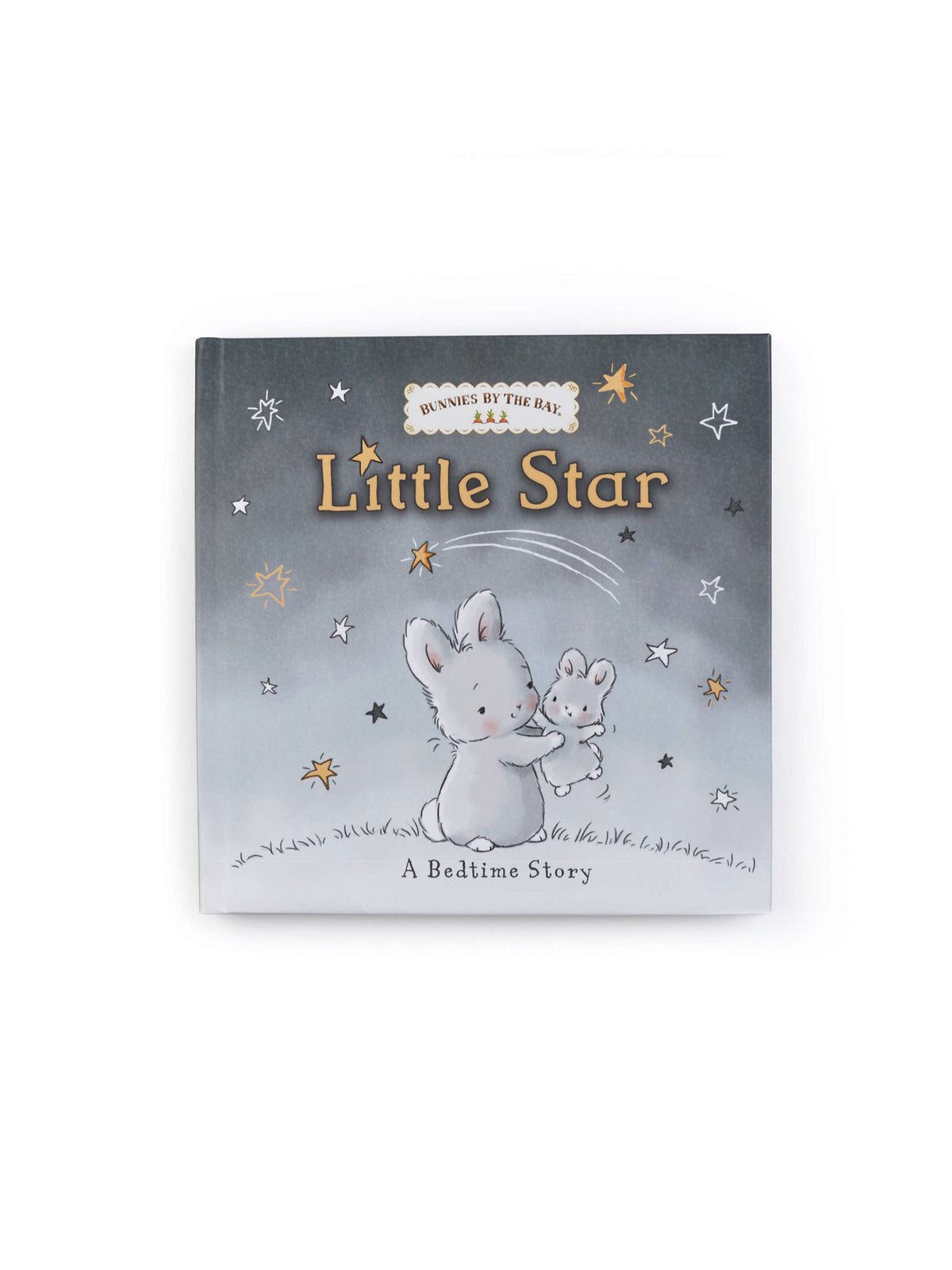 Story Books Baby-Kids : Toys : Books Bunnies By The Bay Story Books for Babies and Kids | Colored Organics®